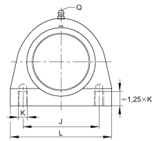 直立式軸承座單元 PSHE30-TV-FA125.5, 塑料軸承座，帶偏心鎖圈的外球面球軸承，帶 Corrotect? 涂層，P型密封